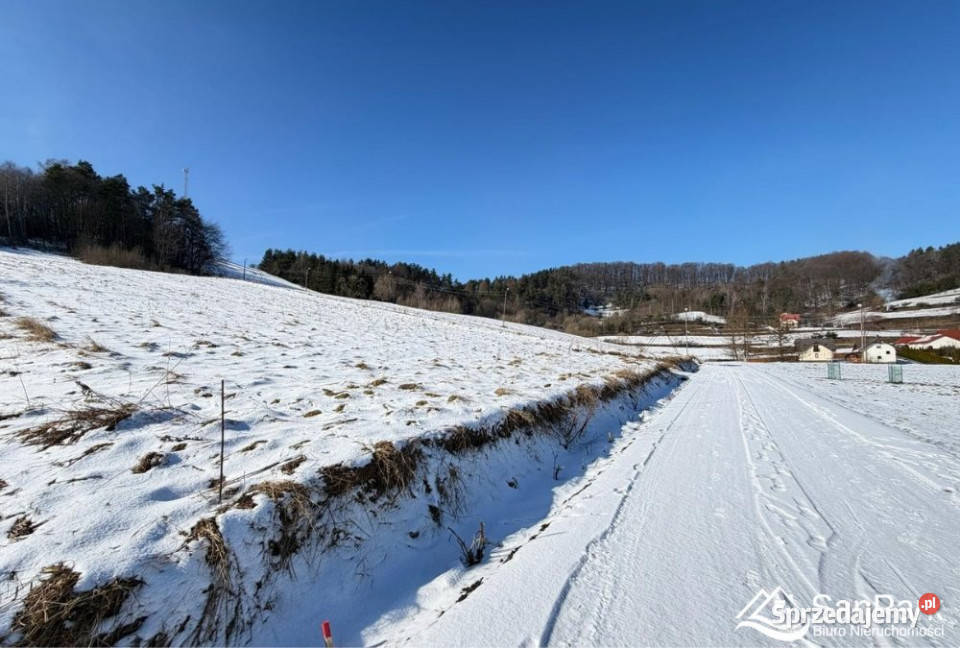 sprzedaży działki Polańczyk 5365m2 inwestycyjna podkarpackie