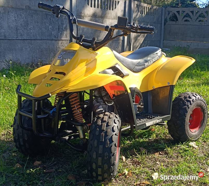 Sprzedam Quady 70 Cc i 110 mazowieckie Gostynin