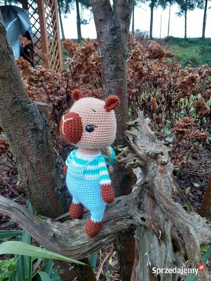 Kapibara na szydełku Nakło nad Notecią