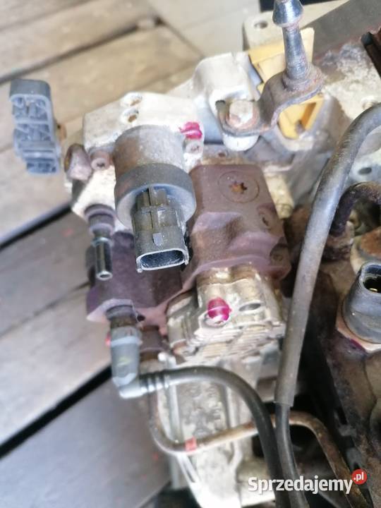 silnik 19dci F9A Renault Scenic 2 Piotrków Trybunalski sprzedam