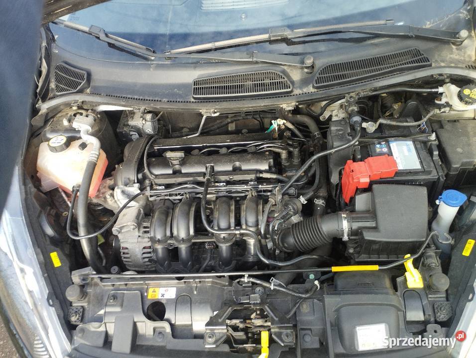 Ford Fiesta MK7 125 b 82 niski przebieg Borek Wielkopolski