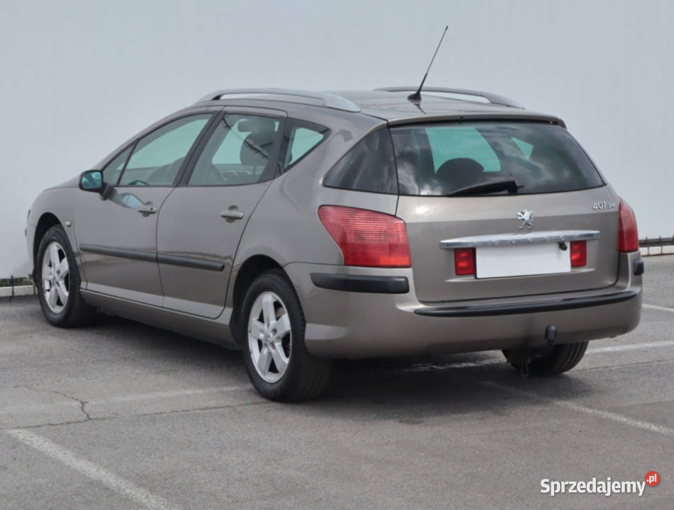 Peugeot 407 20 16V relingi dachowe 407 Lublin sprzedam