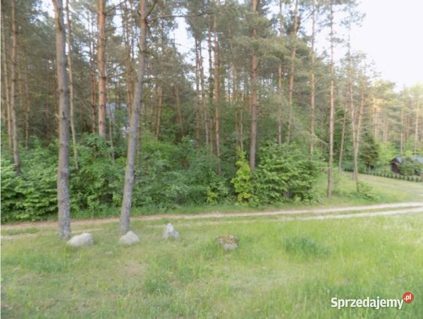 Syndyk sprzeda udział 12 w działce zabudowanej Czaple sprzedam