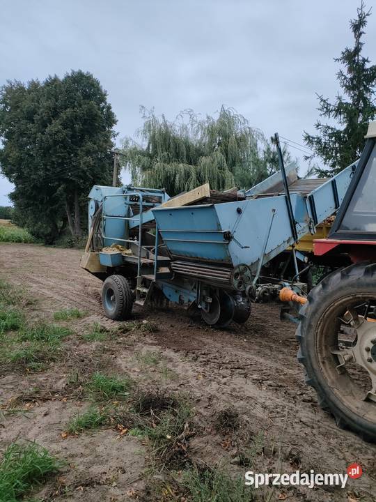 Kombajn do ziemniaków Anna kujawsko-pomorskie Wielkie Radowiska