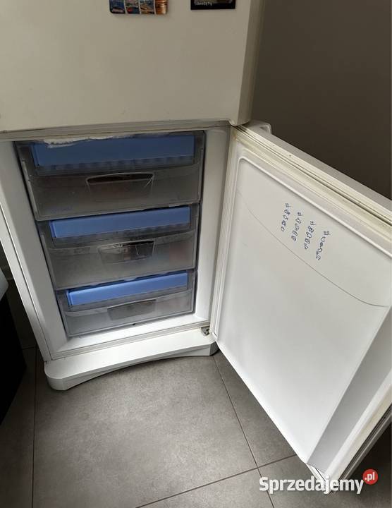 Lodówka ChłodziarkoZamrażarka Indesit BAAN 13L Bełchatów sprzedam