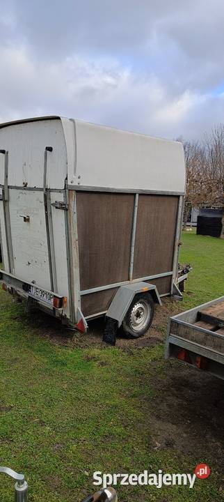 Przyczepa do przewozu koni 1