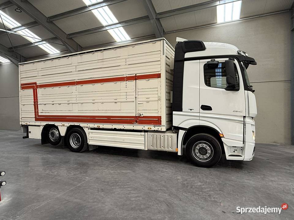 Mercedes 2545 do bydła Suchedniów
