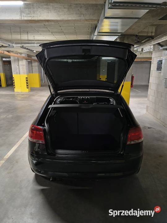 Audi A3 8P 19 TDI 105 Ekonomiczne Zadbane Biała Podlaska