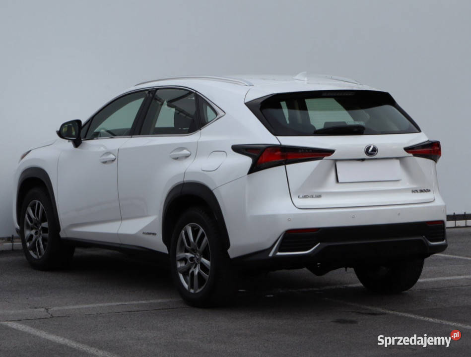 Lexus NX 300h 4/5 lubelskie Lublin