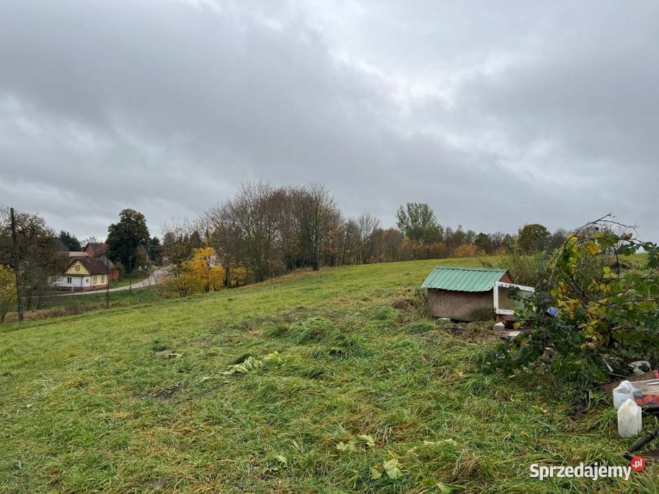 Syndyk sprzeda nieruchomość położoną w Golubkach budowlana Sprzedaż Golubki