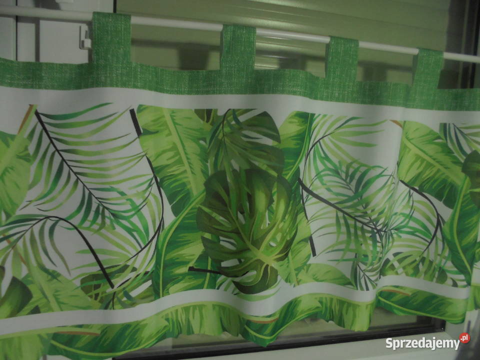 wyprzedaz zazdrosek liscie monsterana wys 43 na