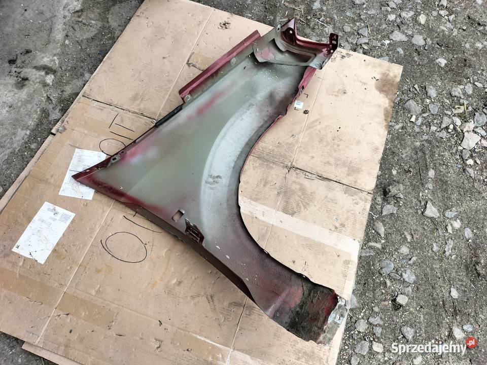 DACIA LOGAN I BŁOTNIK LEWY PRZÓD lubelskie Kamień-Kolonia