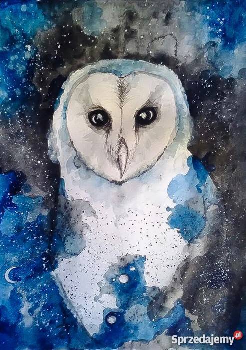 Akwarela Płomykówka artystki Adriany Laube Katowice sprzedam