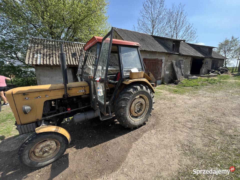 Ursus c3603p Krzecze