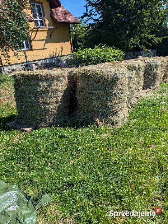 Sprzedam baloty śląskie Żywiec