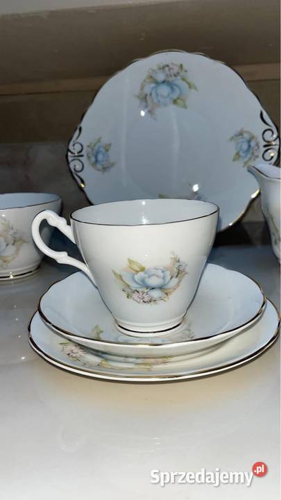 Patera Montfort Staffordshire Biltons England