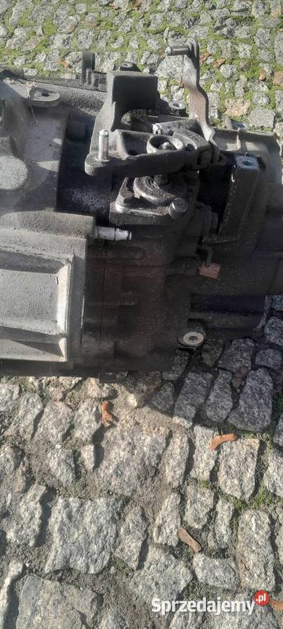 VW PASSAT B6 2006 20 TDI SKRZYNIA ZMIANY 6 Dobiegniew sprzedam