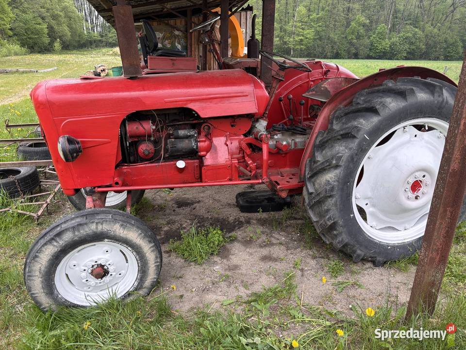 stary ciągnik traktor David Brown perkins 3 Kosianka-Boruty