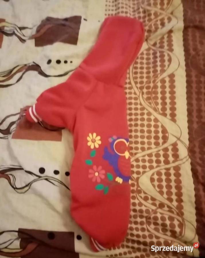 Ubranko pieska Ostrowiec Świętokrzyski