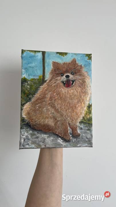 Obrazek olejny na płótnie 18x24 Piesek beżowy Świebodzin