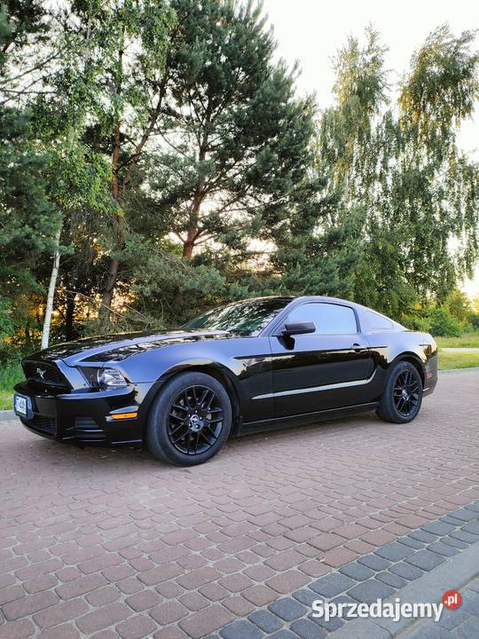 Ford Mustang V 2014r 37v6 manual 3700cm3 Połaniec