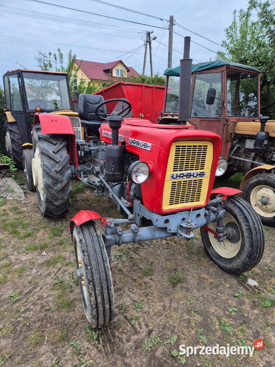 Ciągnik rolniczy Ursus C330 Bucze
