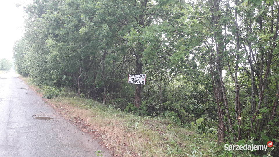 Grunt MORZEM 06ha kolo Jaroslawca zachodniopomorskie Jarosławiec