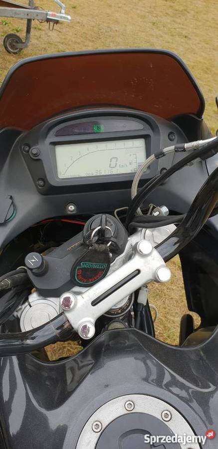 Suzuki XF 650 Freewind