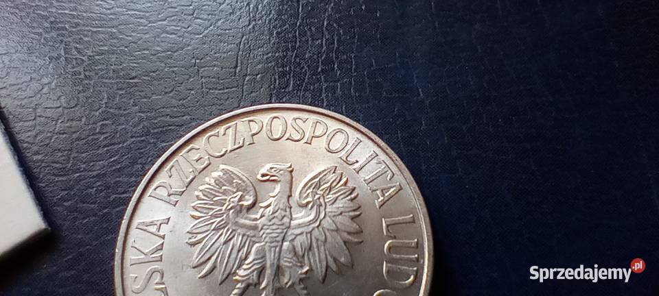 Stare monety 50 groszy 1976 PRL Polska Cudo Numizmatyka Lesko