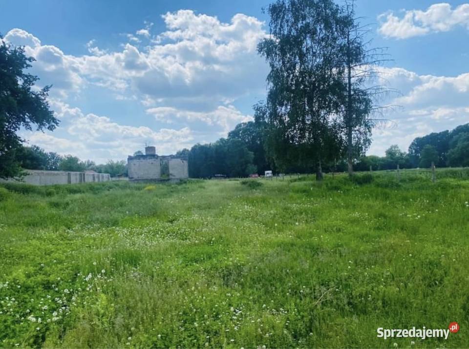Sprzedam działkę między jeziorem a rzeką Józefów mazowieckie sprzedam