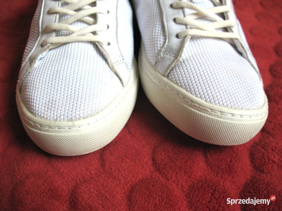 Buty sportowe Lacoste rozmiar 38 wkładka 24 mazowieckie Siedlce