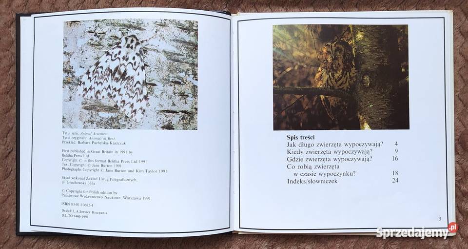 Zwierzęta wypoczywają Jane Burton Warszawa