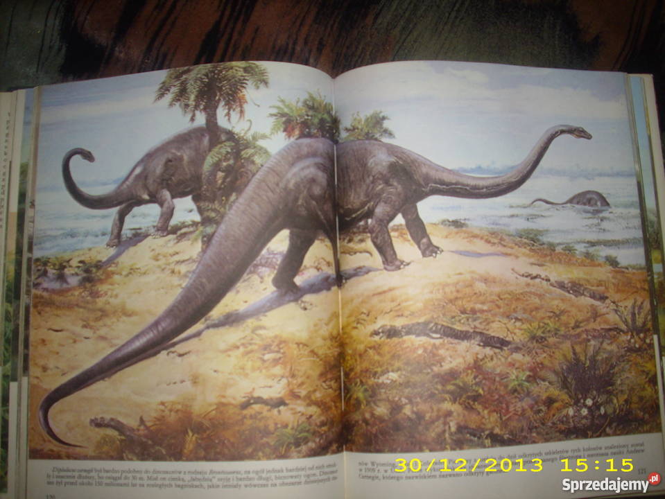 Zanim pojawił się człowiek