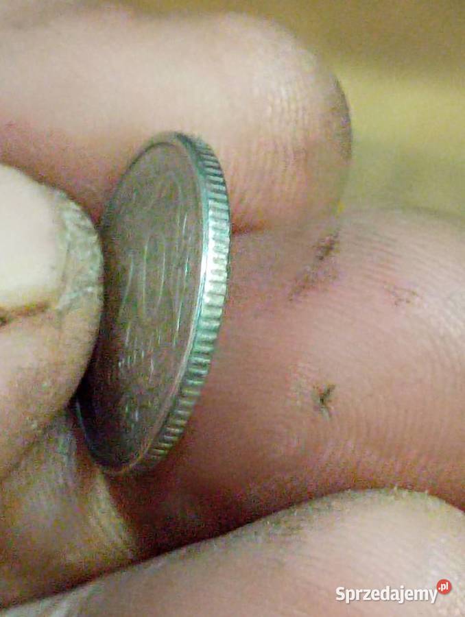 Sprzedam monete 20 groszy 1991 Chełm