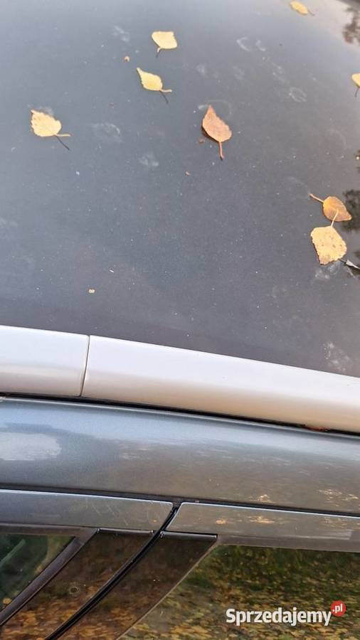 Sprzedam peugeota 407 Rok produkcji 2005