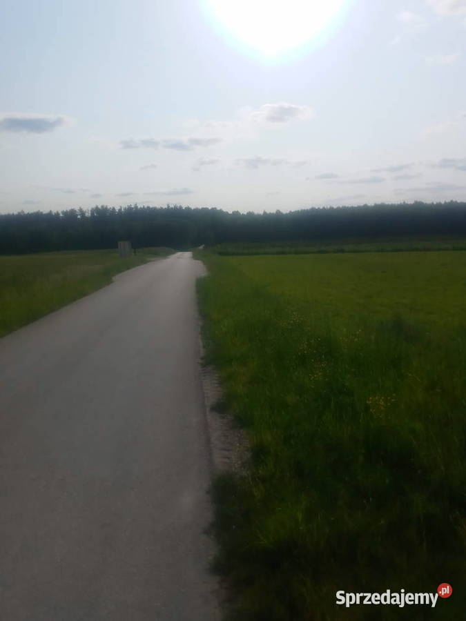 Działka rolna o powierzchni 198 hektara rolna Sprzedaż świętokrzyskie Potok Rządowy