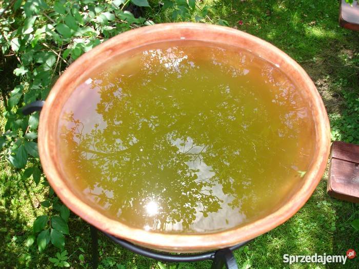 Donica ceramiczna mrozoodporna 40x40 Sprzedam Jelenia Góra sprzedam