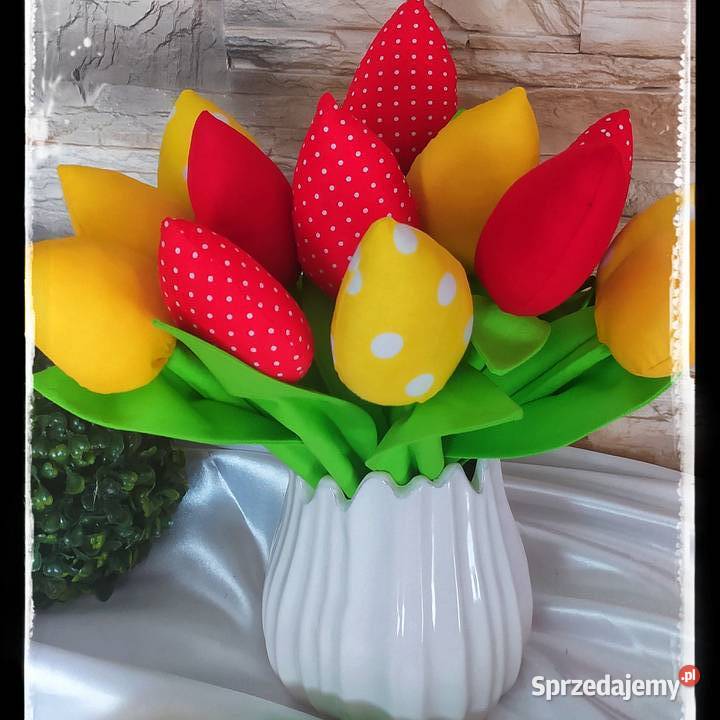 Tulipany Sędziszów Małopolski