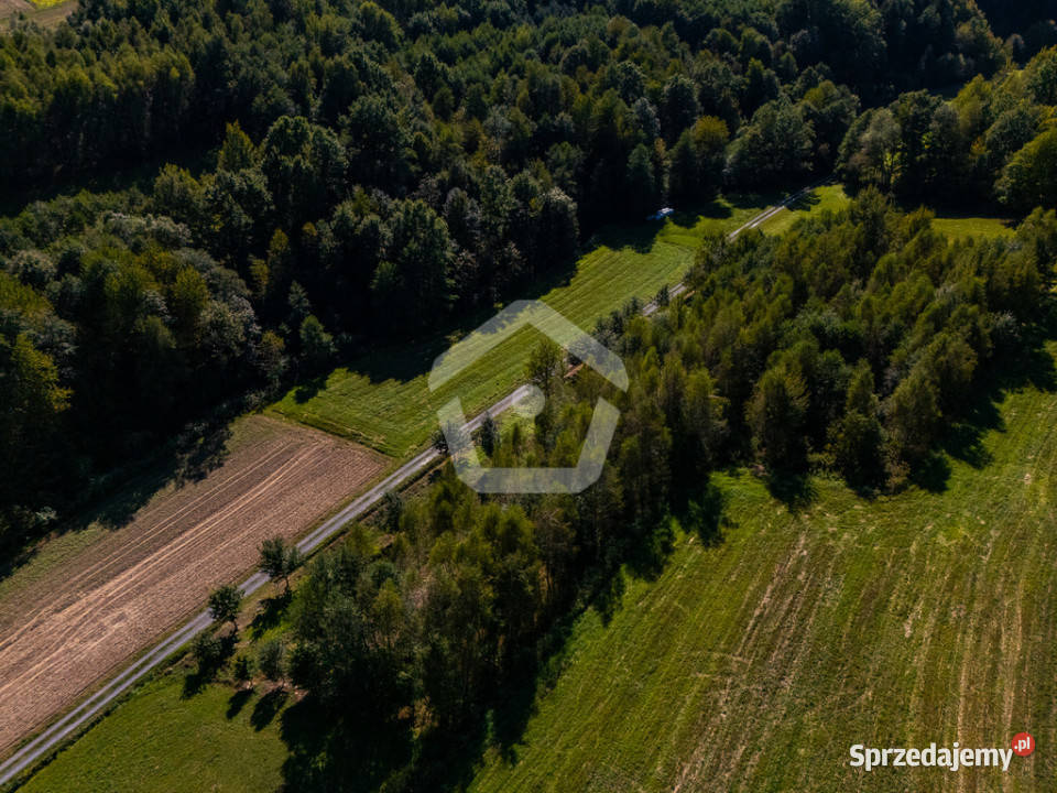 Działka lesie z WZ 34 ar 16 ar las utwardzona Zagorzyce