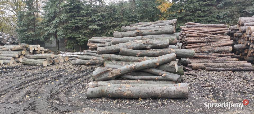 Drewno bukowe wałki S2A 250