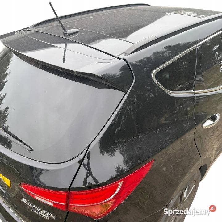 drzwi lewy tył tylne lewe Hyundai Santa Fe III 3 Barłogi