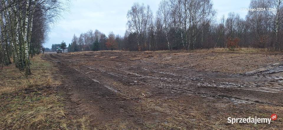 Wycinka drzew Czyszczenie działek Mulczowanie łódzkie Pabianice