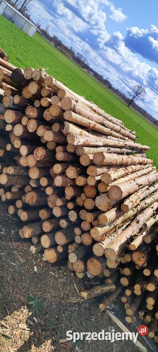 Stemple budowlane kołki do ogrodzeń tymczasowych