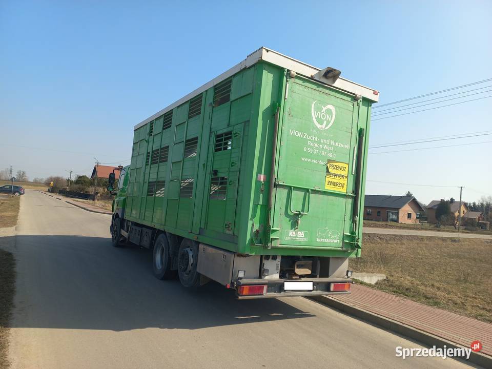 Daf CF 85410 6X2 do żywca i trzody chlewnej 3 podkarpackie Mielec
