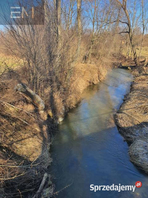 Grunt 3100m2 Wysoka Strzyżowska Sprzedaż Sprzedaż