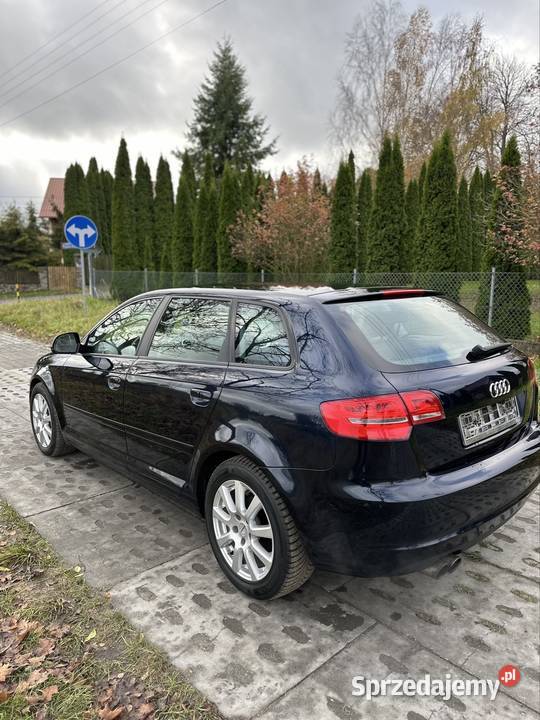 Audi A3 8P 18 TFSI 160 DRL PDC gniazdo AUX Starogard Gdański