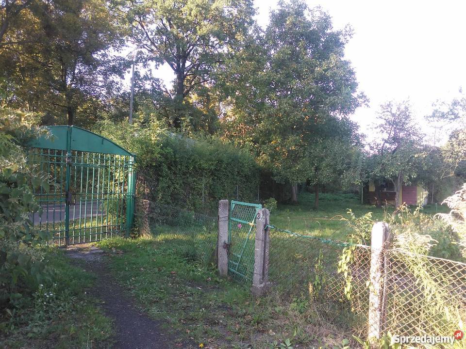 Działka ROD Zamku w Malborku Malbork sprzedam