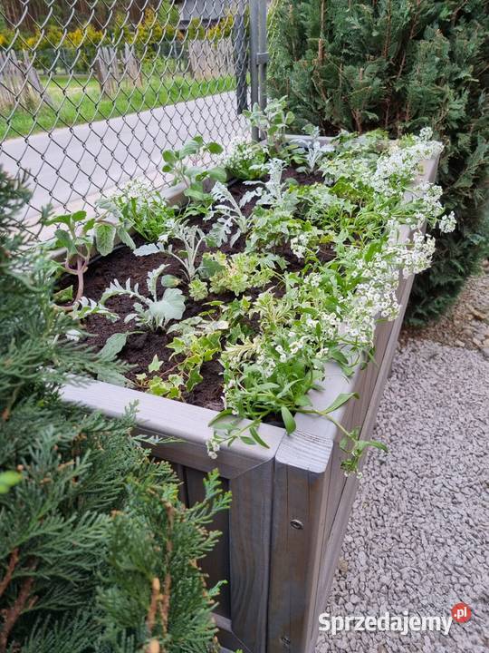 Zielnik na nogach warzywnik skrzynia ogrodowa Kalety