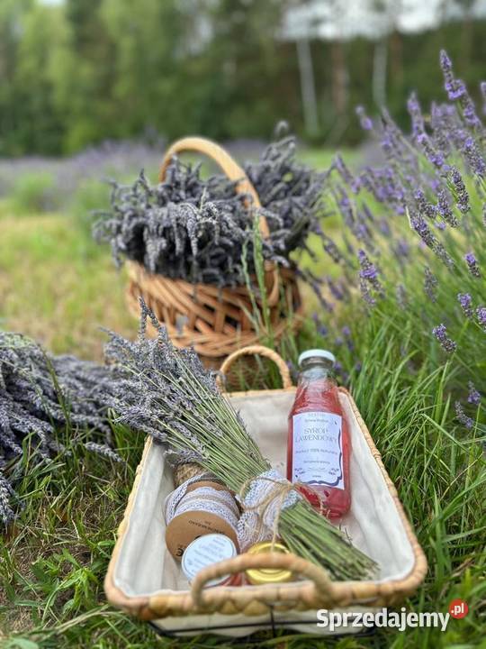 Lawendowy Syrop 100 naturalny wyrób własny Piotrków Trybunalski