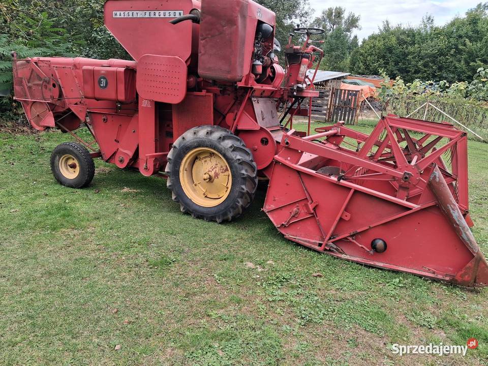 Kombajn zbożowy Massey ferguson 31 Janów Lubelski sprzedam